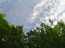 DSC02285.jpg
