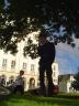 DSC02289.jpg